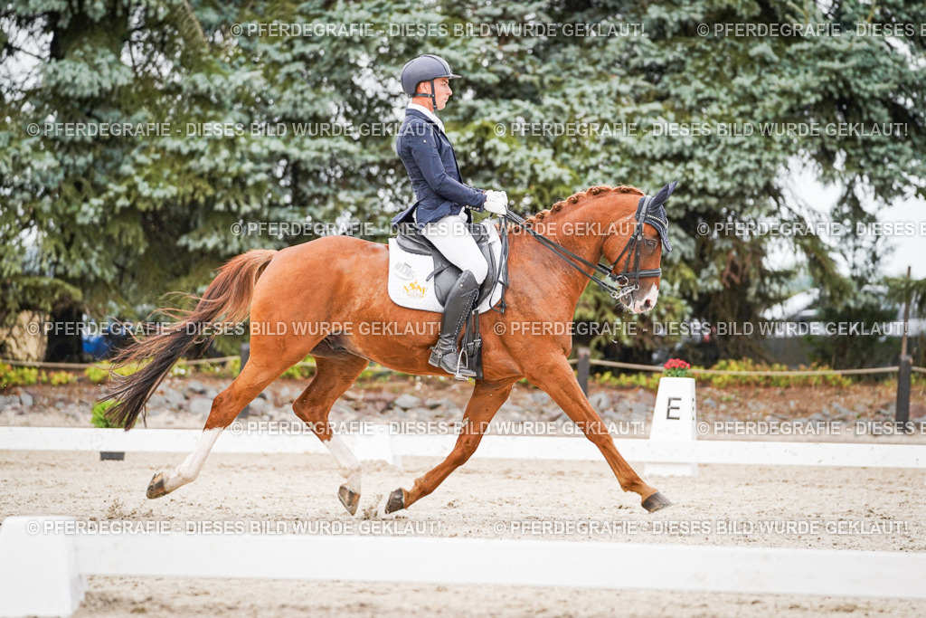 DSC08513 | Pferdegrafie