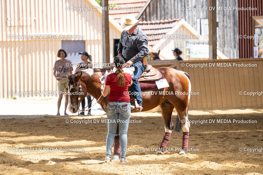 DSC00060 | dv-media-shop - Realisiert mit Pictrs.com