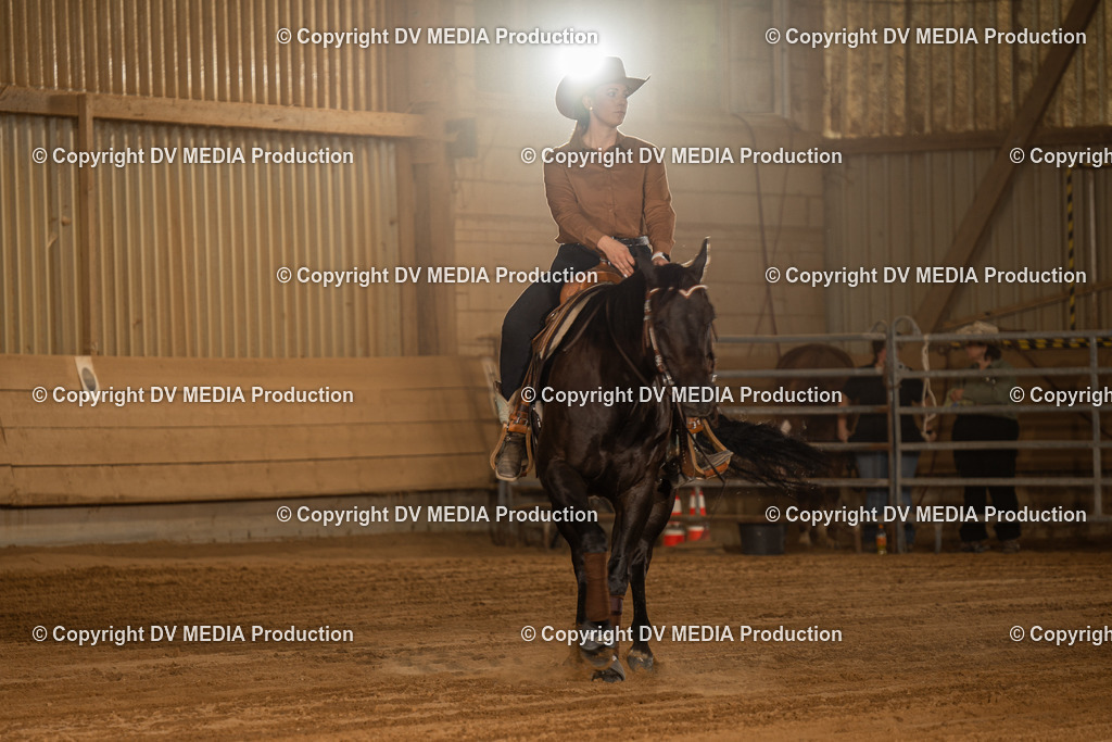 NID03793 | dv-media-shop - Realisiert mit Pictrs.com