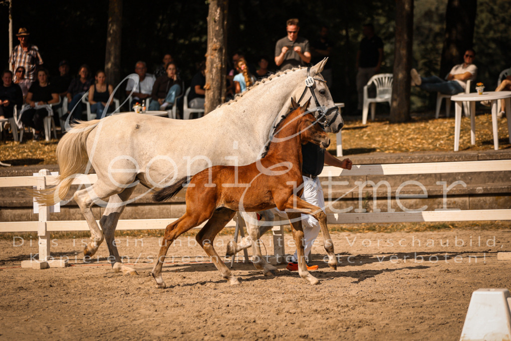 09.DoWBD00104 | Leoni Ertmer Photography - Realisiert mit Pictrs.com