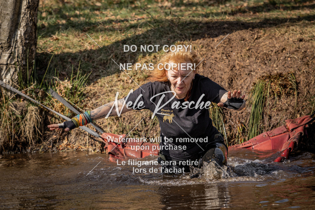 nelerasche_FS1330-1400_02 | nelerasche