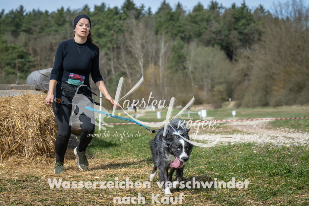 1156_ZZ98778 | kk-dogfotos