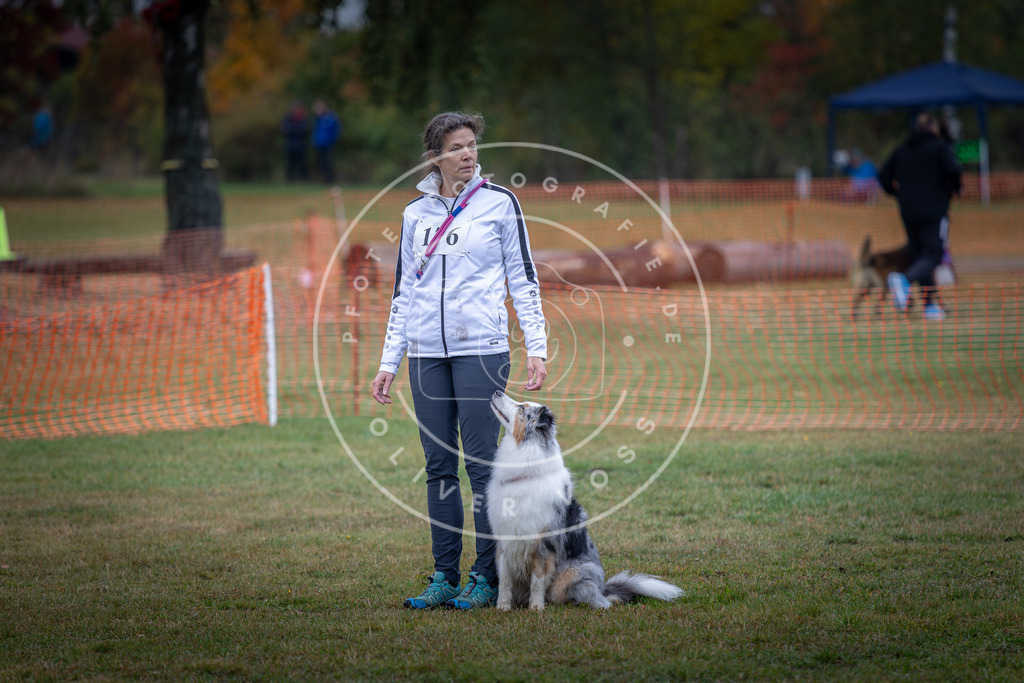 Pfotenfotografie_DV3A9390 | Hundefotografie, Tierfotograf, Pfotenfotografie, Fotoshooting Hund, Hunde Portrait, Hundesport, Hundeportraits, Heideshooting, Hunde, Sportfotograf, Hundefotograf, Turnierhundsport, THS,  - Realisiert mit Pictrs.com