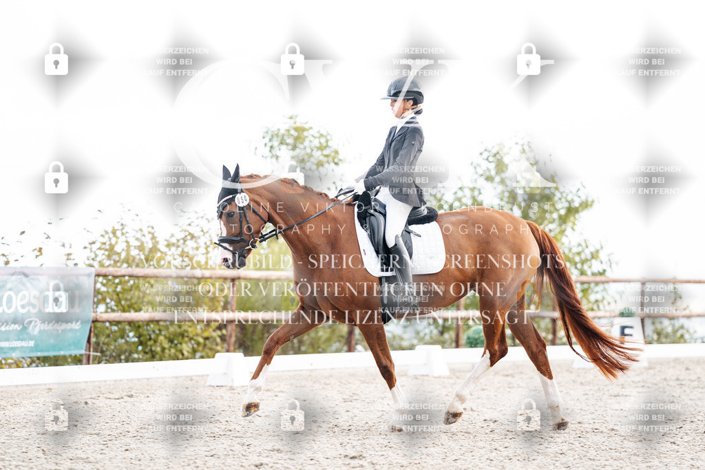 CK900672 | Turnierfotografie Pferdefotografie Trier Rheinland-Pfalz Pferdesport Reitsport Tierfotografie Sportfotografie Pferdevideo Pferdevideografie Equestrianvideography equestrianphotography  - Realisiert mit Pictrs.com