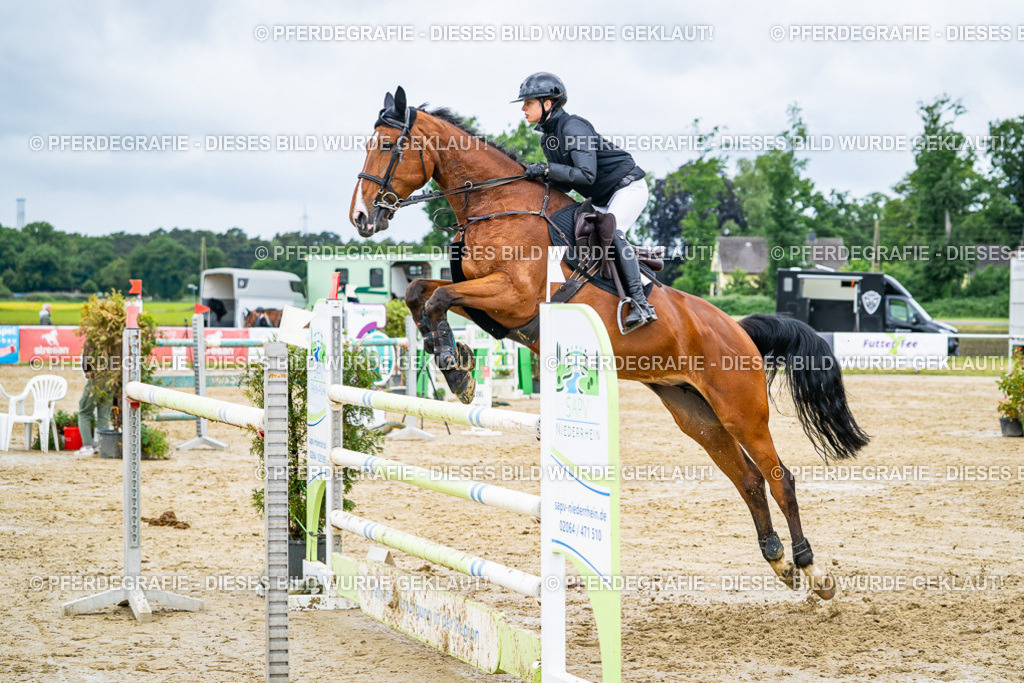 DSC04308 | Pferdegrafie