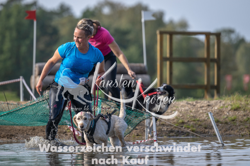 1137_ZZ93541 | kk-dogfotos