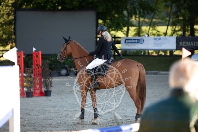 2B4A0033 | pixelfaenger - Realisiert mit Pictrs.com