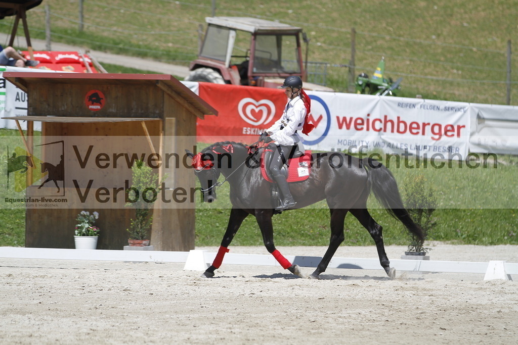 _MG_7439 | equestrian-live-com