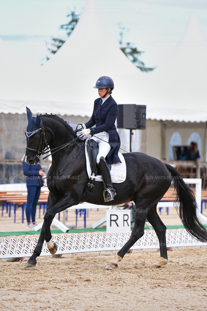 10-190-ST.GEORG SPECIAL -Marixx-3374 | working equitationturnier fotograf videograf stoibphotography marixx film working equitation deutschland reitsport turnierfotografie eventfotografie equestrian events
