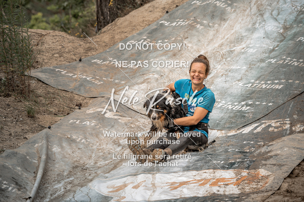nelerasche_sa1300-1345_74 | nelerasche