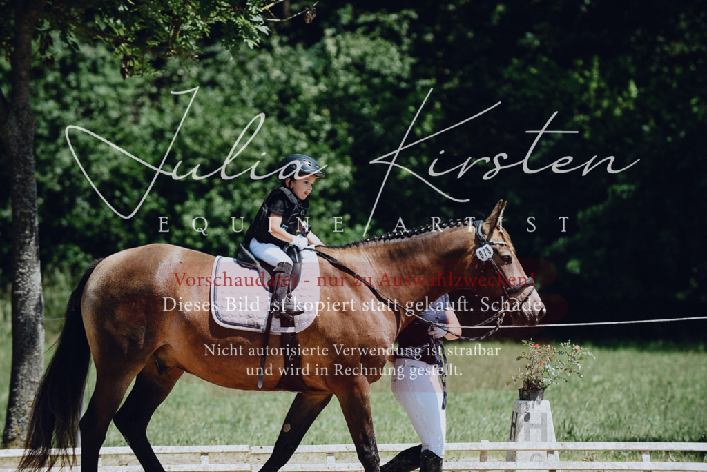 DSC_2630 | Pferde- und Turnierfotografie in Westsachsen. Pferdeportraits, Auftragszeichnungen und intuitive Kunst.