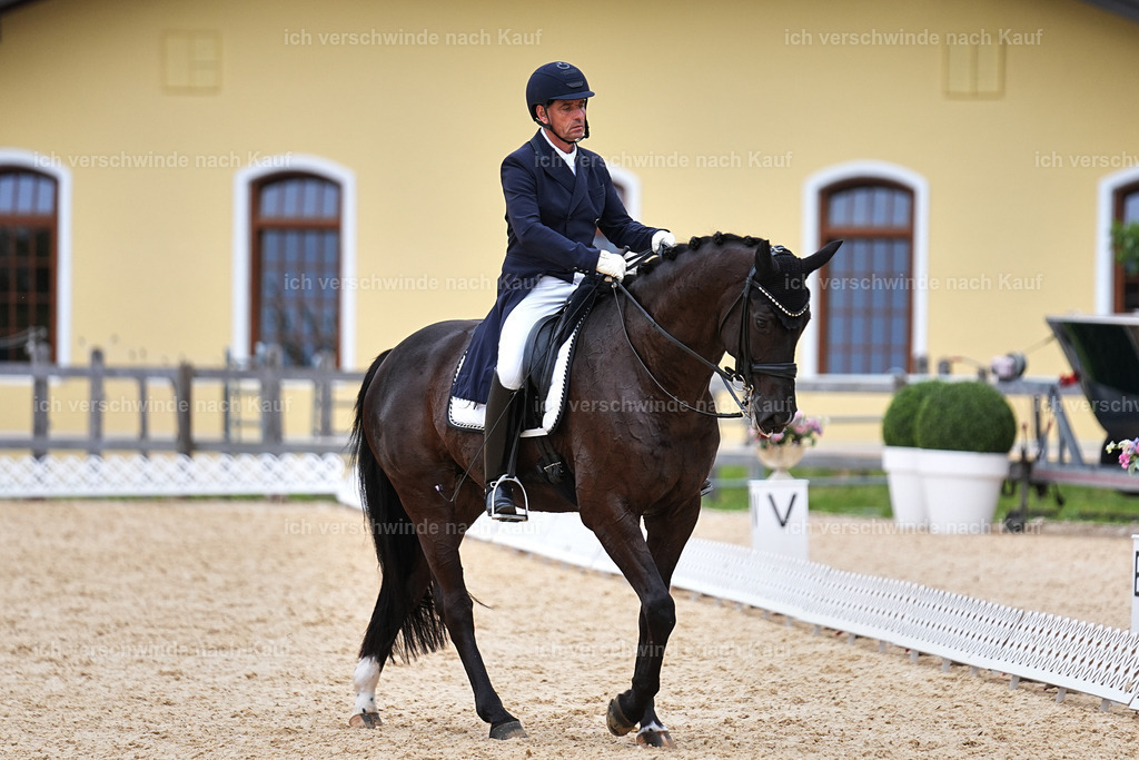 11-058-Dressur S___-Marixx-1486 | working equitationturnier fotograf videograf stoibphotography marixx film working equitation deutschland reitsport turnierfotografie eventfotografie equestrian events
