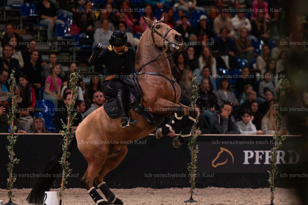 JoseraCup-207 | working equitationturnier fotograf videograf stoibphotography marixx film working equitation deutschland reitsport turnierfotografie eventfotografie equestrian events