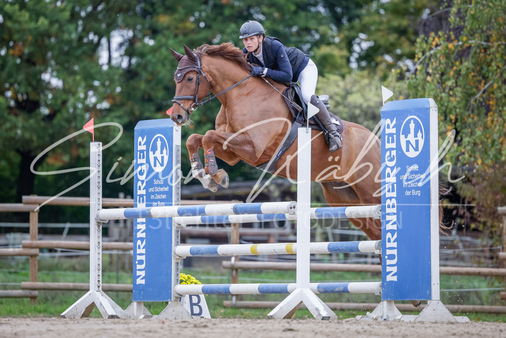 20251012-_3LI5062 | Tierfotografie Pferde, Hunde, Katzen, Haustiere.
Turnierfotografie Reitturniere, Reiten, Springreiten, Dressur in Hanau, dem Main-Kinzig-Kreis und dem Rhein-Main- Gebiet um Frankfurt