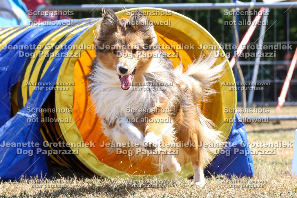 Dog Paparazzi -  Agiltiy Greffen 0826-1084 Kopie | Dog Paparazzi Jeanette Grottendiek Fotografie & Videografie - Realisiert mit Pictrs.com
