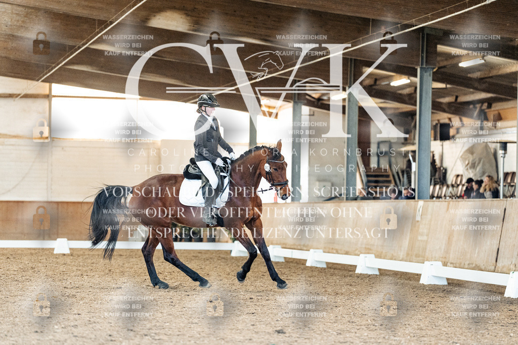 CK908738 | Turnierfotografie Pferdefotografie Trier Rheinland-Pfalz Pferdesport Reitsport Tierfotografie Sportfotografie Pferdevideo Pferdevideografie Equestrianvideography equestrianphotography  - Realisiert mit Pictrs.com