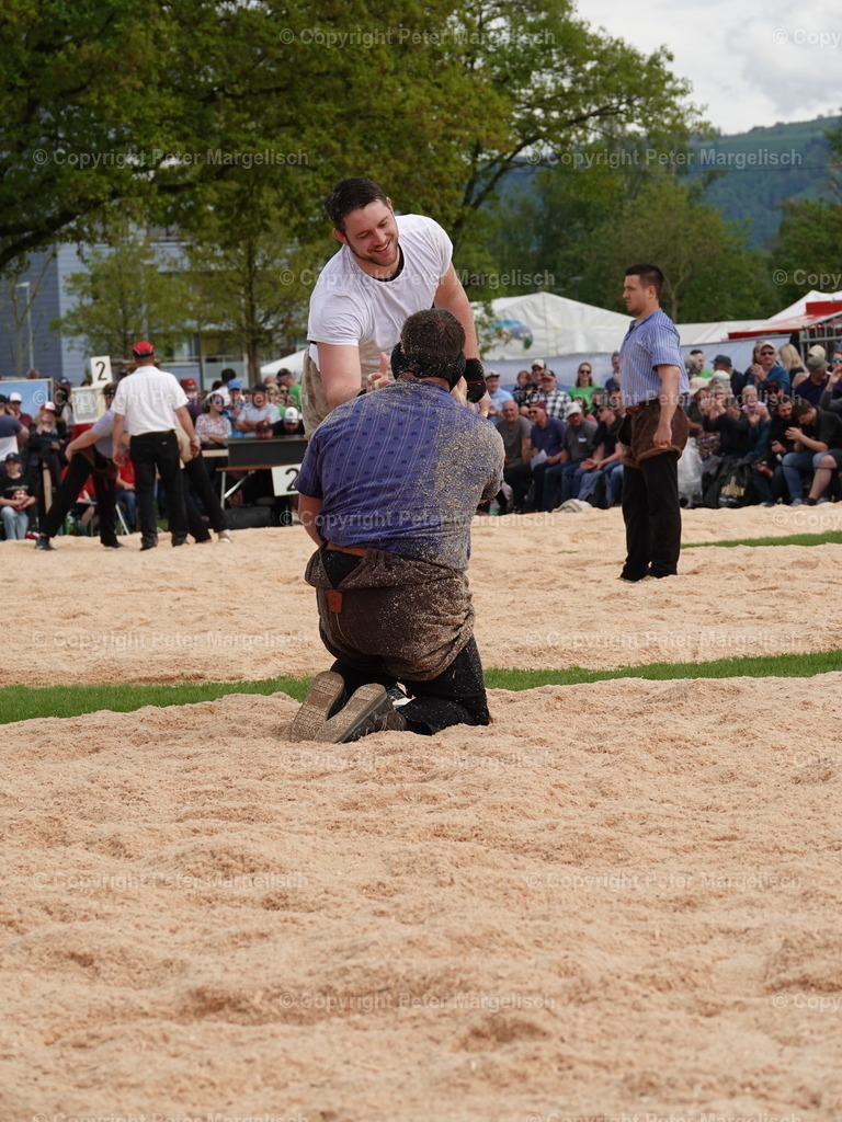 DSC06411 | Schwingen - Realisiert mit Pictrs.com
