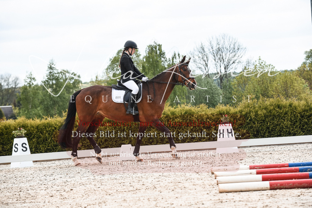 20230518_JK-Röhrsdorf-10-155 | Pferde- und Turnierfotografie in Westsachsen. Pferdeportraits, Auftragszeichnungen und intuitive Kunst.