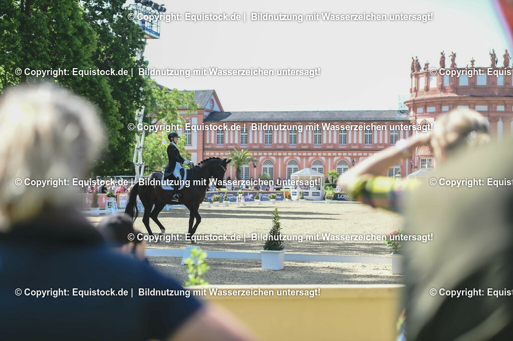 D78_3419 | equistock