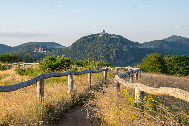 Rodderberg Juni 2023 | Bilder von Frank Landsberg / Siebengebirge in Bildern - Realisiert mit Pictrs.com