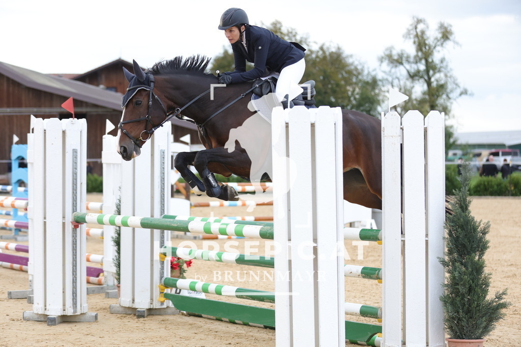 0P6A0086 | Willkommen bei Brunnmayr - Design & Fotografie – Ihrem Spezialisten für Reitturniere und Pferdeveranstaltungen in Oberösterreich, Salzburg und Bayern! Seit über 17 Jahren sind wir leidenschaftlich dabei.