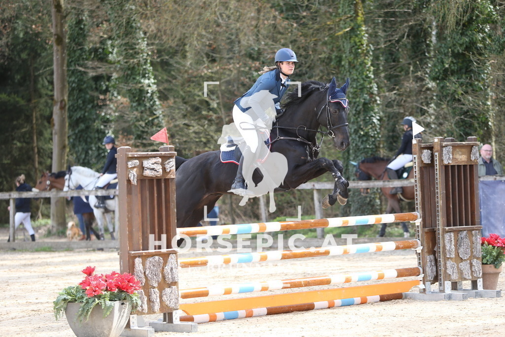 DL2Q1975 | Willkommen bei Brunnmayr - Design & Fotografie – Ihrem Spezialisten für Reitturniere und Pferdeveranstaltungen in Oberösterreich, Salzburg und Bayern! Seit über 17 Jahren sind wir leidenschaftlich dabei.