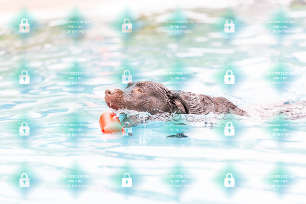 _HP_7274_1000o | HetPix, HetPix Fotodesign, Fotografie, Fotodesign, Webshop, Sportfotografie, Portraitfotografie, Onlineshop, Sportfotografie, Polch, Motorsportfotografie, Eventfotografie