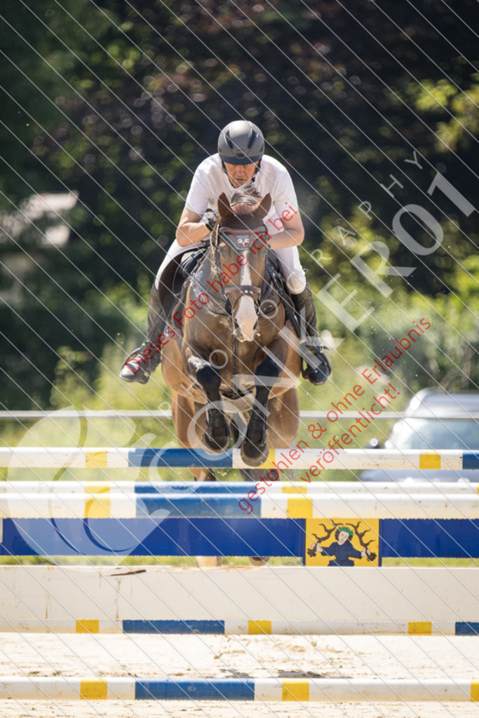 IMG_9162 | Sport-, Event- und Tierfotos in Profiqualität. Einfach auswählen, bestellen und herunterladen. Dein Moment – perfekt festgehalten.
