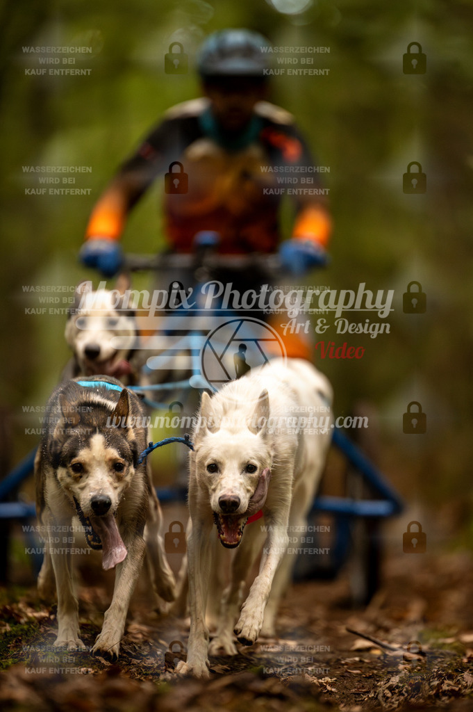 TSB_2023_E1_Kart_Rig-12 | PayLife