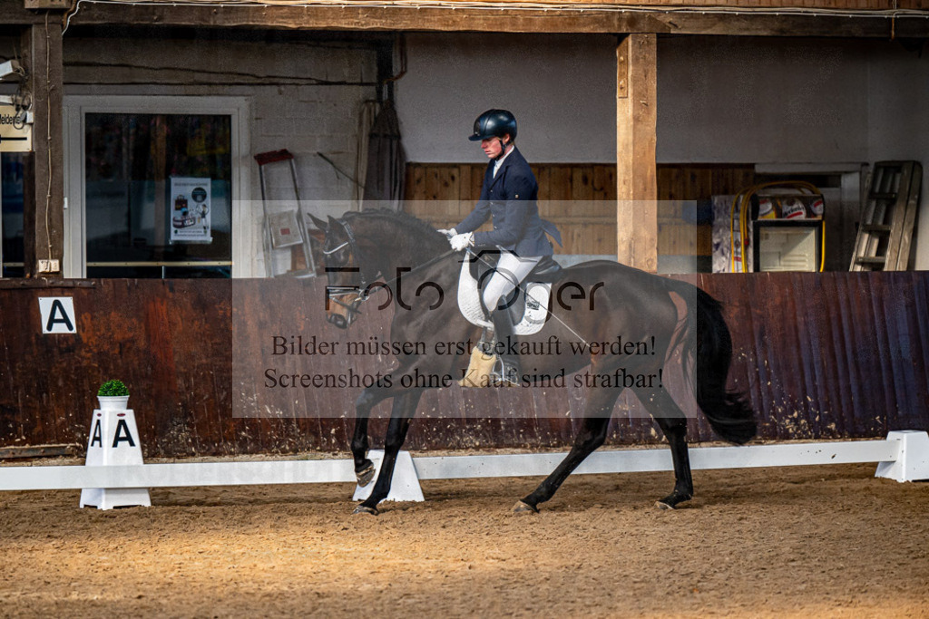 20240308-DOS_4497 | Entdecke hochwertige Reitturnierfotos von Foto Oger. Professionell, emotional und authentisch – jetzt Lieblingsmomente im Shop bestellen.Deutschlandweite Turnierfotografie. - Realisiert mit Pictrs.com