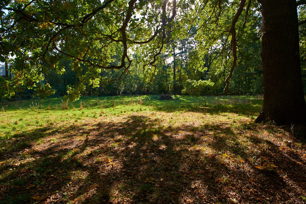 In der Neustädtler Skala 05 | Bedeutsame Landschaften Deutschlands - Realisiert mit Pictrs.com
