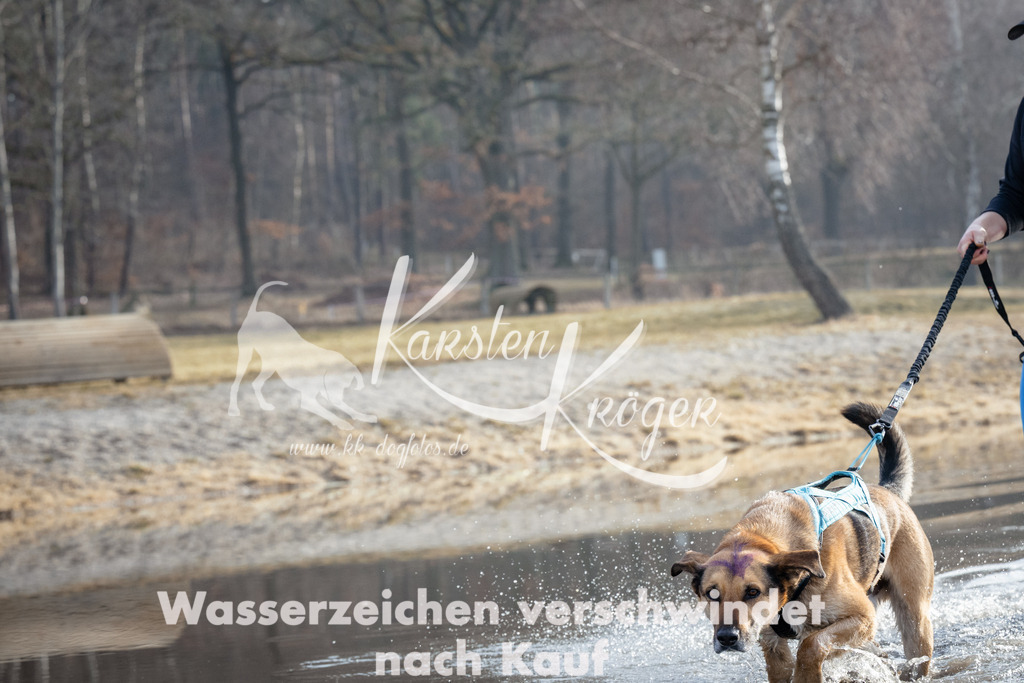 0927_ZZ91941 | kk-dogfotos