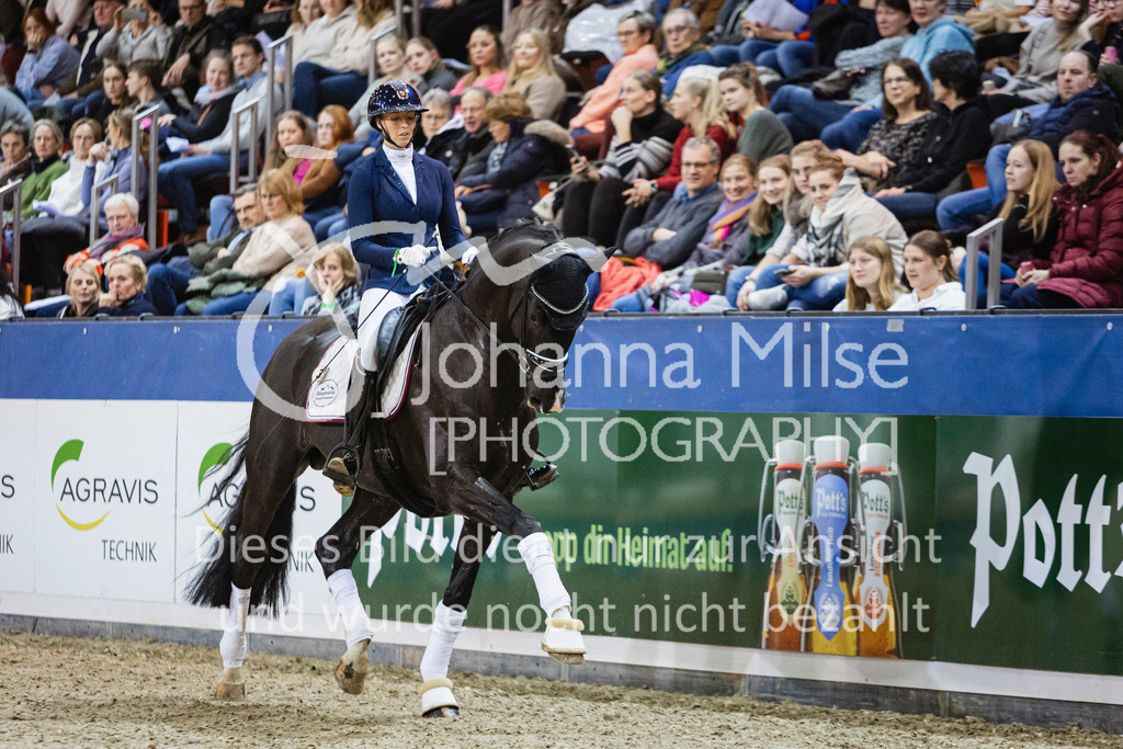 250108_Muenster_Hengstpräsentation-121 | Deine schönsten Turniermomente als professionelle Fotos! Entdecke hochwertige Pferdesport-Fotografie im Online-Shop. Jetzt Fotos finden & bestellen!