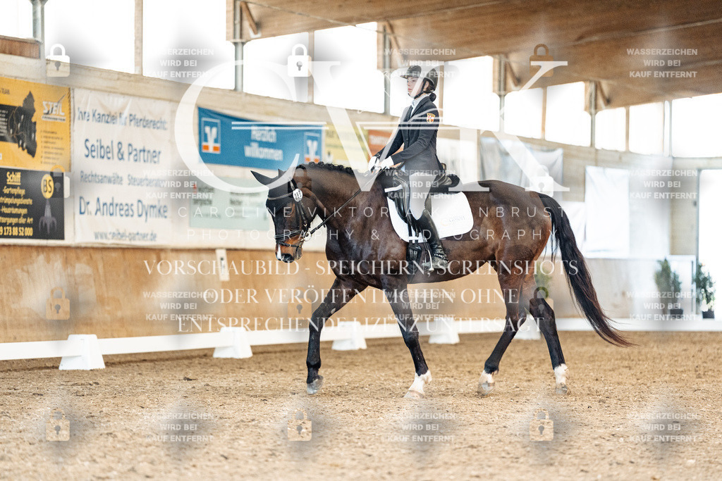 CK909919 | Turnierfotografie Pferdefotografie Trier Rheinland-Pfalz Pferdesport Reitsport Tierfotografie Sportfotografie Pferdevideo Pferdevideografie Equestrianvideography equestrianphotography  - Realisiert mit Pictrs.com
