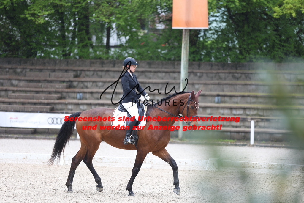 A40A8645 | lmwpictures - Realisiert mit Pictrs.com