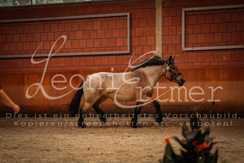 SaFL00318 | Leoni Ertmer Photography - Realisiert mit Pictrs.com