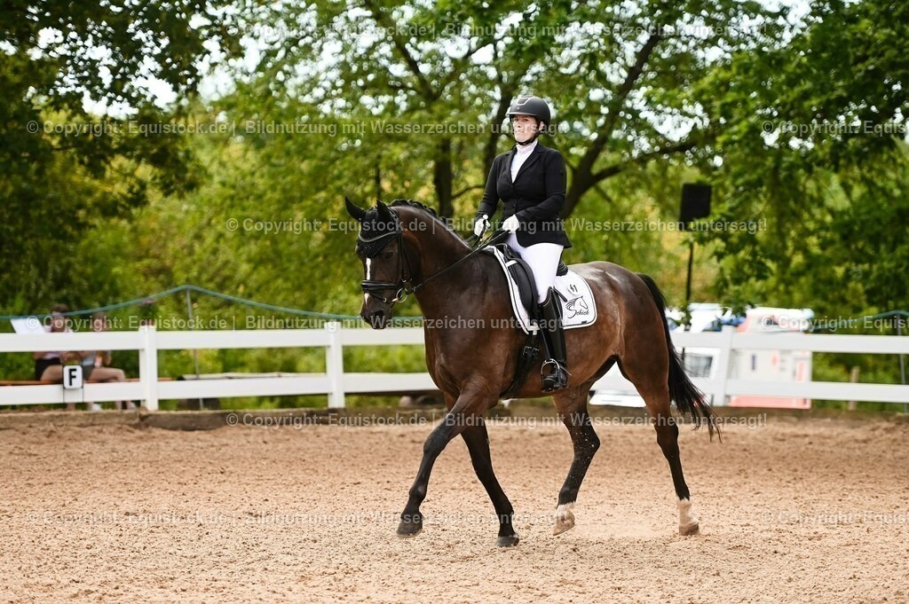 20230715_07_Dressurpferdeprfg. Kl.L_0099 | equistock