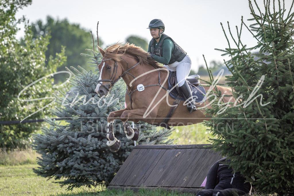 20250907-_3LI8561 | Tierfotografie Pferde, Hunde, Katzen, Haustiere.
Turnierfotografie Reitturniere, Reiten, Springreiten, Dressur in Hanau, dem Main-Kinzig-Kreis und dem Rhein-Main- Gebiet um Frankfurt