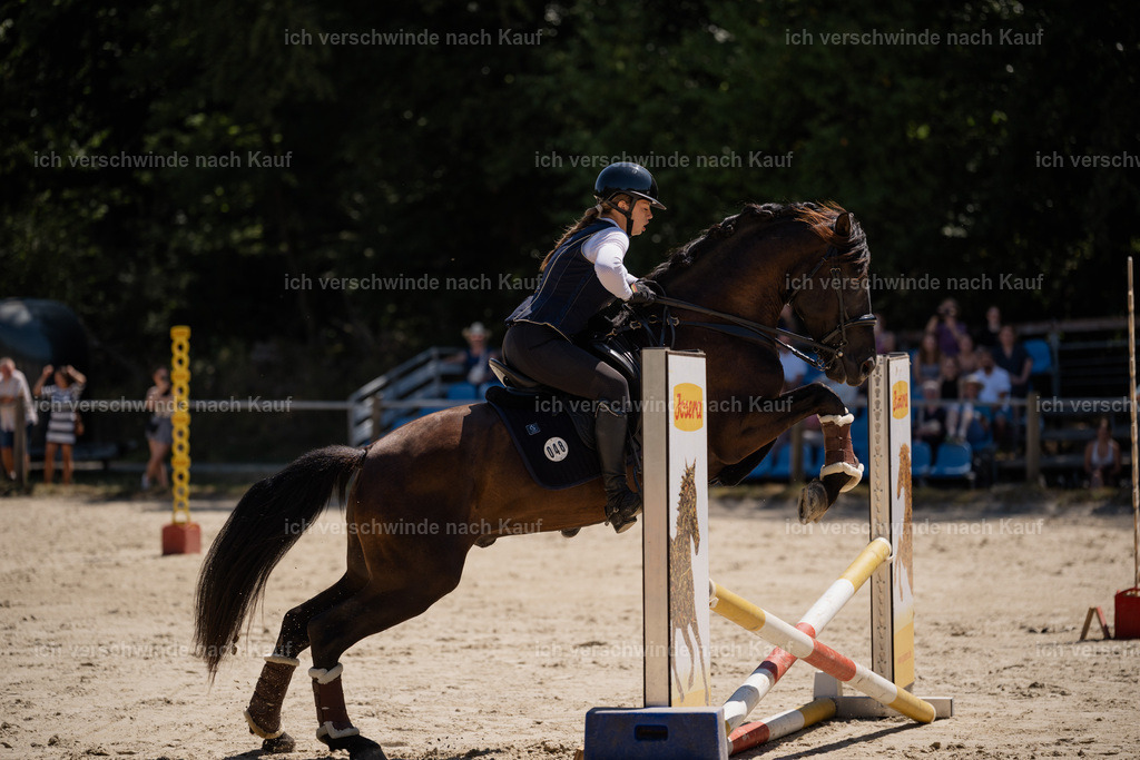 WM_SP_48_Stoibphotography_SO17756 | working equitationturnier fotograf videograf stoibphotography marixx film working equitation deutschland reitsport turnierfotografie eventfotografie equestrian events