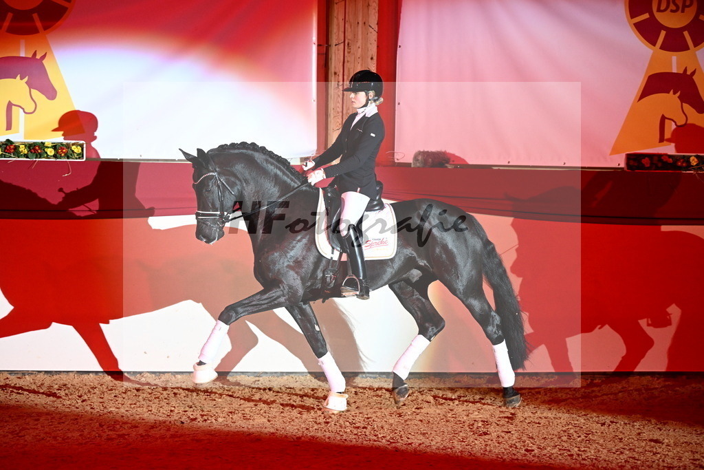 DSP Dream Royal_Arturi_2255188 | hf-fotografie - Realisiert mit Pictrs.com