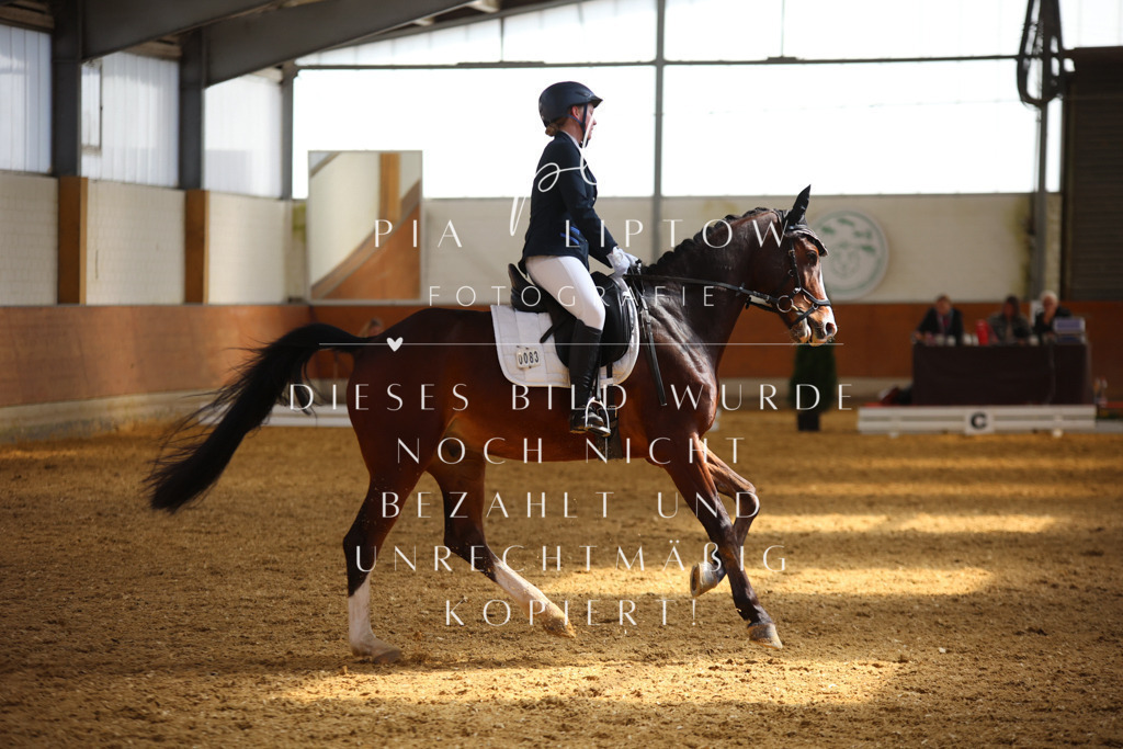 IMGT4455 | pl-fotografie