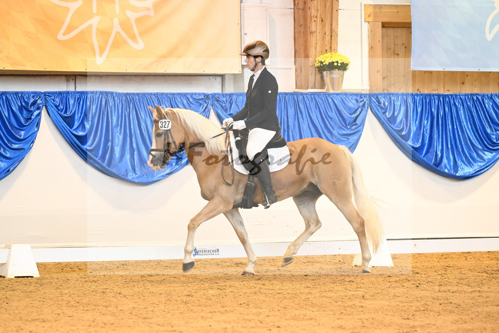 Kat-Nr. 327 Eliana_Benzler_54222139 | hf-fotografie - Realisiert mit Pictrs.com