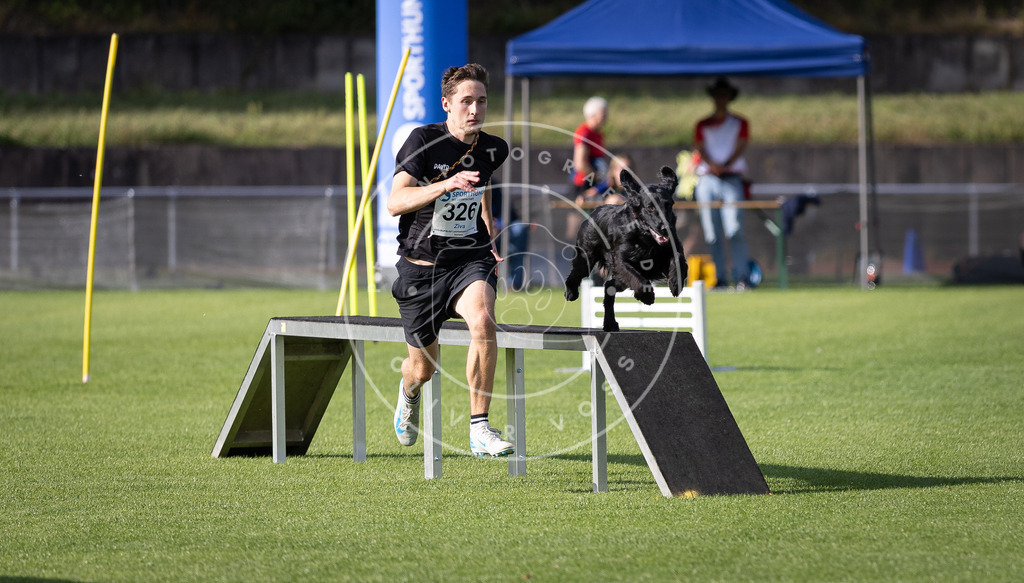 Pfotenfotografie_DV3A2349 | Hundefotografie, Tierfotograf, Pfotenfotografie, Fotoshooting Hund, Hunde Portrait, Hundesport, Hundeportraits, Heideshooting, Hunde, Sportfotograf, Hundefotograf, Turnierhundsport, THS,  - Realisiert mit Pictrs.com