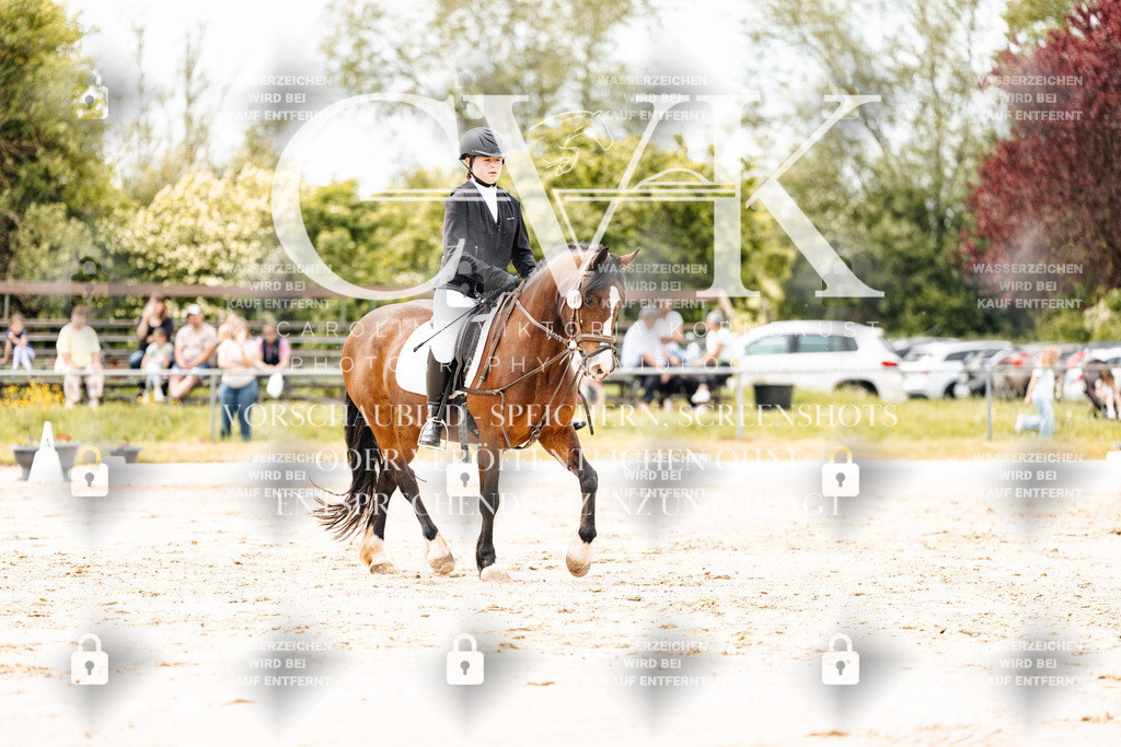 CK902777 | Turnierfotografie Pferdefotografie Trier Rheinland-Pfalz Pferdesport Reitsport Tierfotografie Sportfotografie Pferdevideo Pferdevideografie Equestrianvideography equestrianphotography  - Realisiert mit Pictrs.com