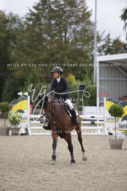 1J2A1861Britta Braunert_ Convolto PS_ Kn289_ HavekostAntonia Selina Brinkop_ Con Calma 3_ Kn261_ Havekost | Foto- und Videografie für alles rund ums Pferd. Hochwertige Bilder und Videos vom Spring- und Dressurreiten, Voltigieren & mehr. Jetzt aktuelle Veranstaltungen und Preise im Shop ansehen. - Realisiert mit Pictrs.com