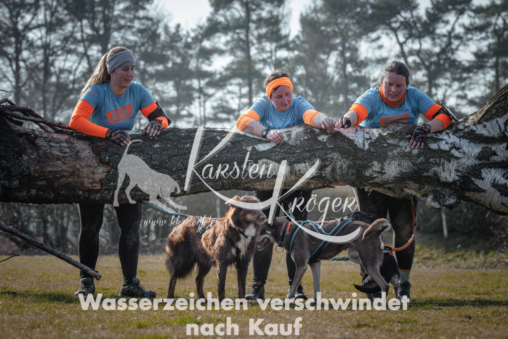 1043_ZZ93578 | kk-dogfotos