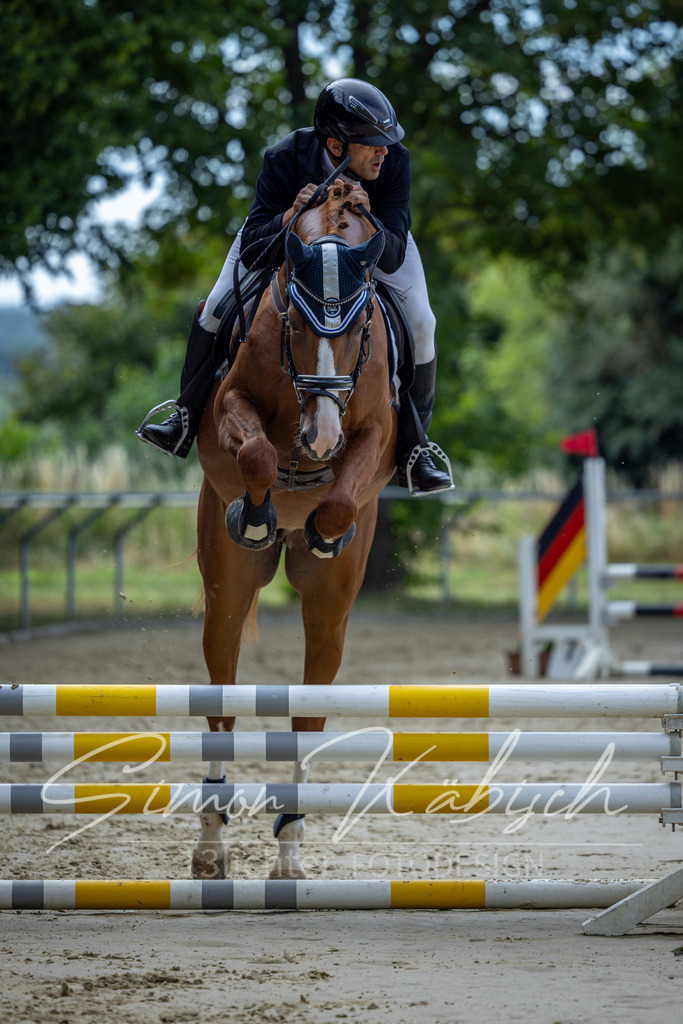 20260704-_3LI6781 | Tierfotografie Pferde, Hunde, Katzen, Haustiere.
Turnierfotografie Reitturniere, Reiten, Springreiten, Dressur in Hanau, dem Main-Kinzig-Kreis und dem Rhein-Main- Gebiet um Frankfurt