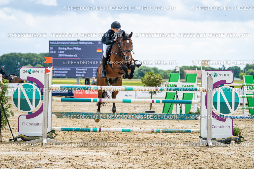 DSC05796 | Pferdegrafie