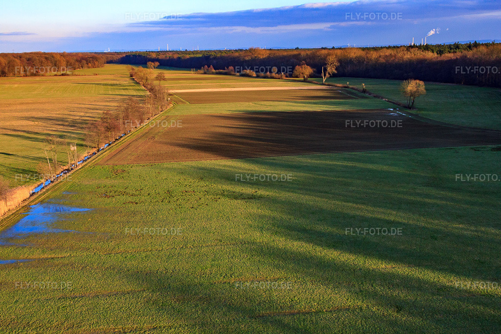 Luftbild: Wiesen in der Otterbachniederung im Ortsteil Schaidt in Wörth im Bundesland Rheinland-Pfalz in Deutschland. Foto: IMG_37247.jpg vom 22.01.2011 durch Werner Riehm/FLY-FOTO.de