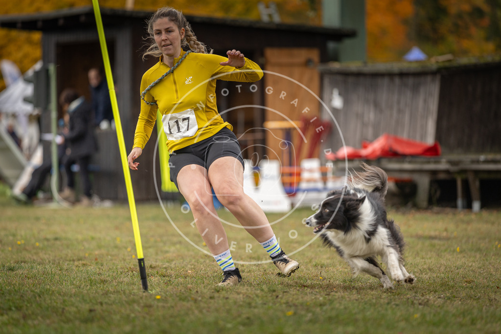 Pfotenfotografie_DV3A6692 | Hundefotografie, Tierfotograf, Pfotenfotografie, Fotoshooting Hund, Hunde Portrait, Hundesport, Hundeportraits, Heideshooting, Hunde, Sportfotograf, Hundefotograf, Turnierhundsport, THS,  - Realisiert mit Pictrs.com